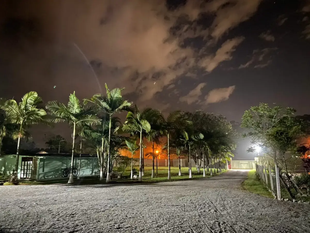 Entrada arborizada iluminada à noite