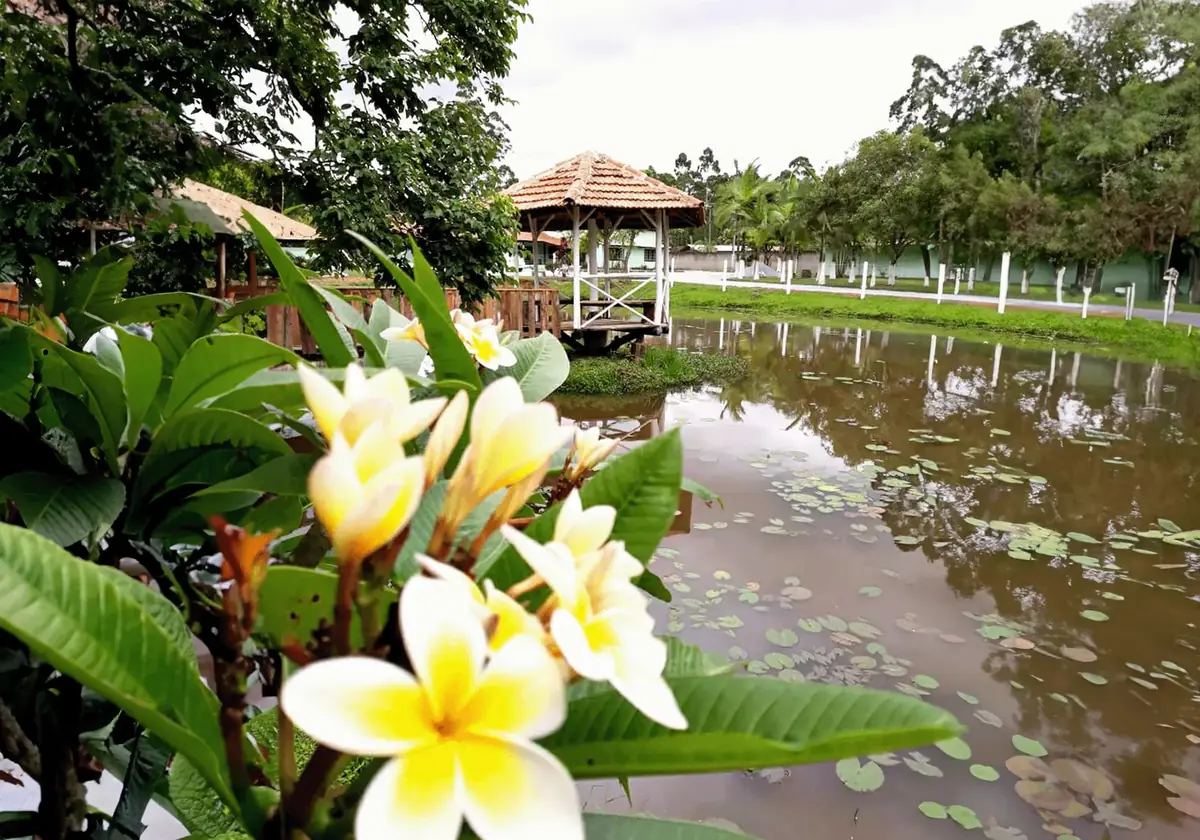 Jardim com lago em uma propriedade terapêutica